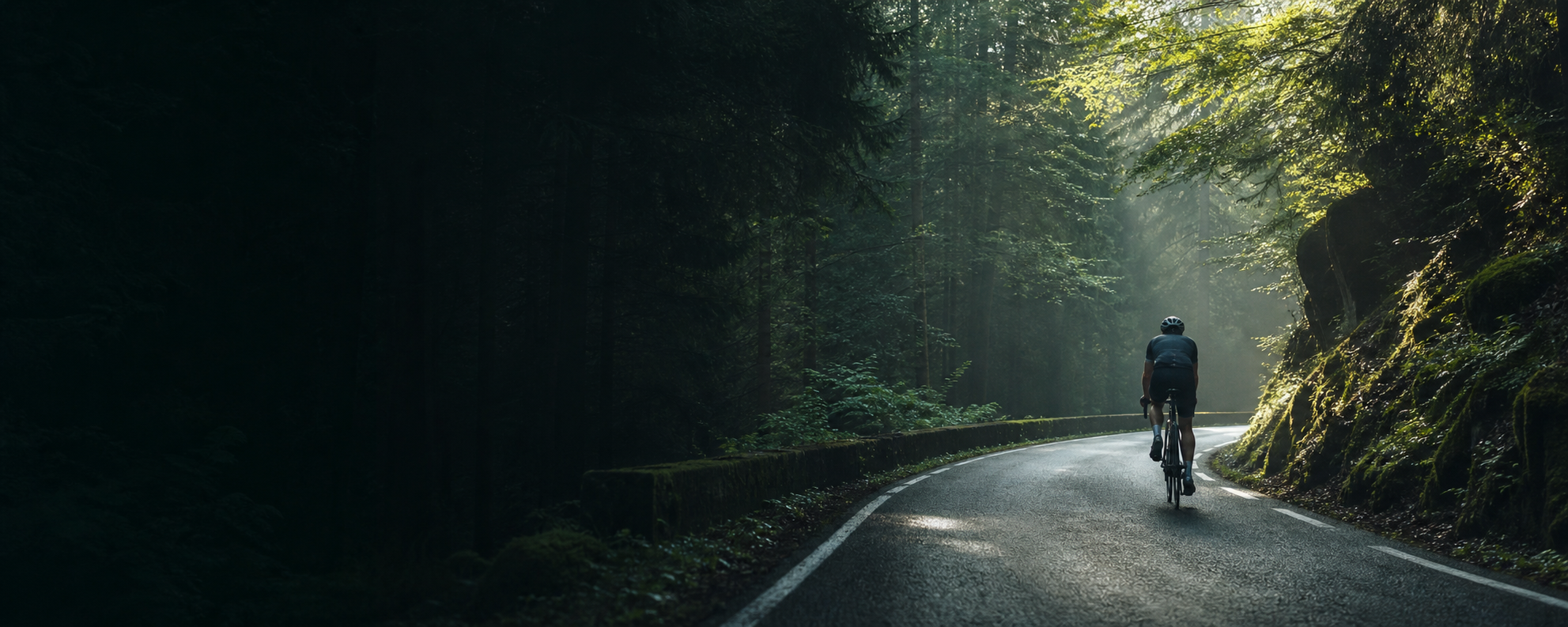 Cyclist on a flowing forest road representing the ROCKERON FLOW World
